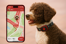 Load image into Gallery viewer, NordPaw Dog GPS
