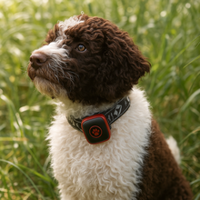 Load image into Gallery viewer, NordPaw Dog GPS

