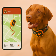 Load image into Gallery viewer, NordPaw Dog GPS (Sale)
