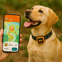 Load image into Gallery viewer, NordPaw Dog GPS (Sale)
