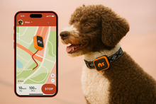 Load image into Gallery viewer, NordPaw Dog GPS (SALE)
