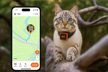 Load image into Gallery viewer, KittyFind GPS Collar
